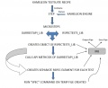 Thumbnail for version as of 19:17, 11 July 2010